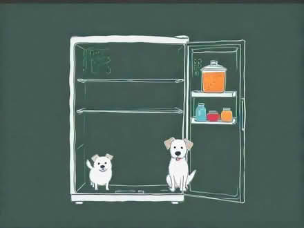 Photo of Fridge/freezer for my dogs food (Coalpit Heath BS36) #1