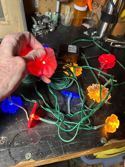 Photo of free Ikea light string (Mortimer & Coxwell) #1