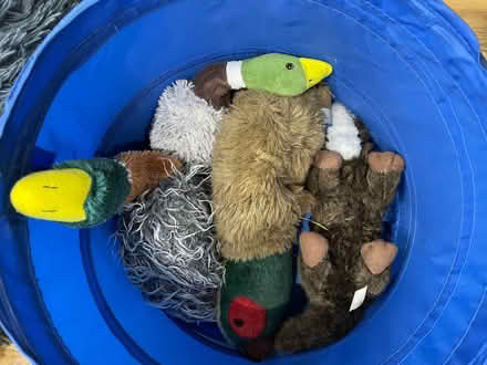 Photo of free Used Dog Bed and other items (Dean EH4) #3