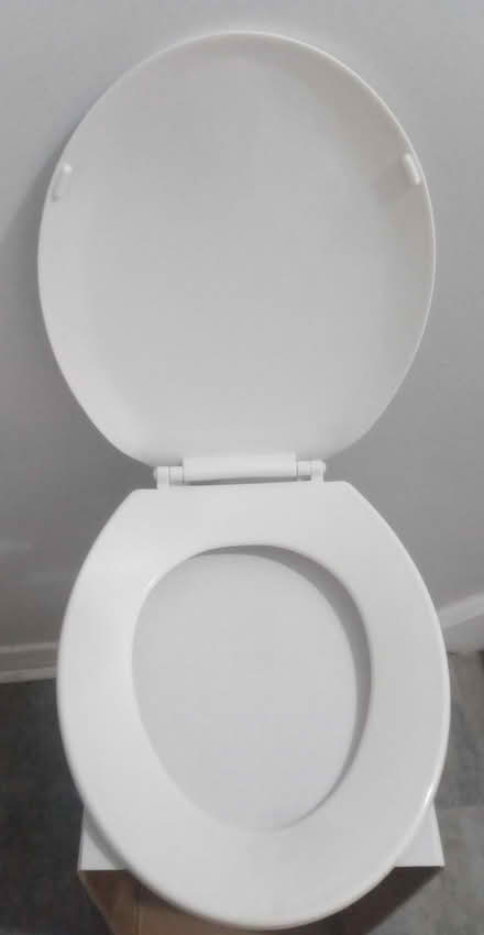 Photo of free light plastic loo lid (Britannia) #2