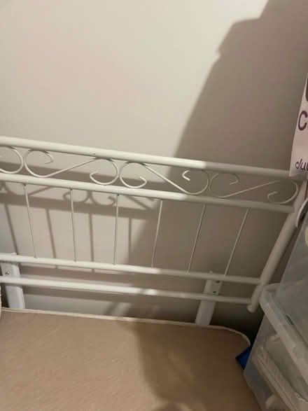 Photo of free Bed (Chelmsford) #1