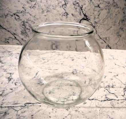 Photo of free goldfish bowl (Whitehill SG4) #1