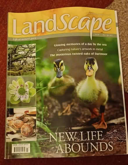 Photo of free Lovely quality magazines (Kidderminster DY11) #1