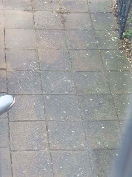 Photo of free paving slabs c100 (South Woodford E18) #1