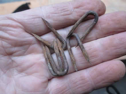 Photo of free Garden staples (OX11 Harwell) #2