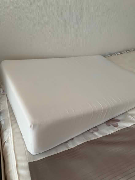 Photo of free Wedge pillow (Spital CH63) #1