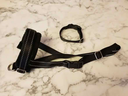 Photo of free Reflective Black Dog Muzzle (Nottingham NG8) #3