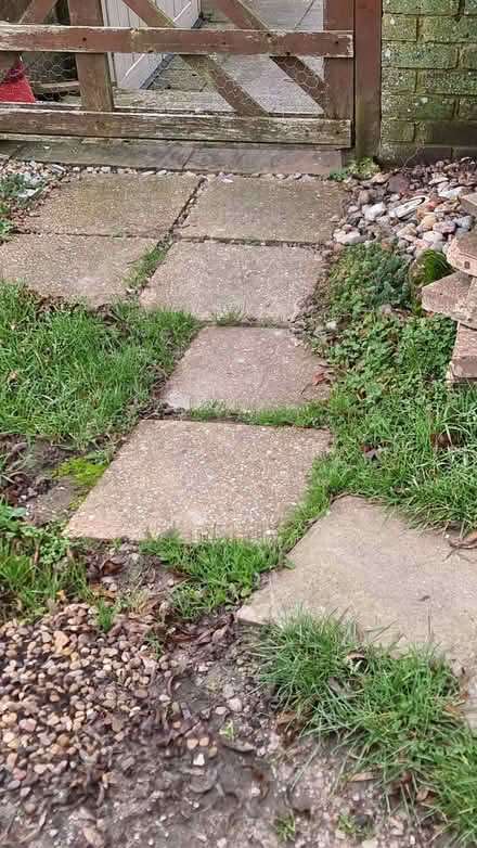 Photo of free Paving slabs (Chiddingly TN21) #3