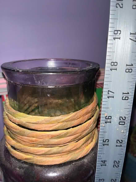 Photo of free Tall purple vase & palms (Silver Spring MD) #4