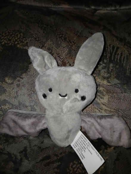 Photo of free Bat (Chattenden) #1