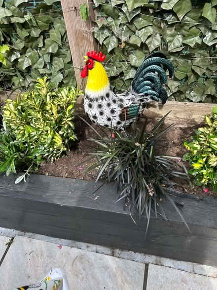 Photo of free garden sleepers (Pilrig EH6) #2