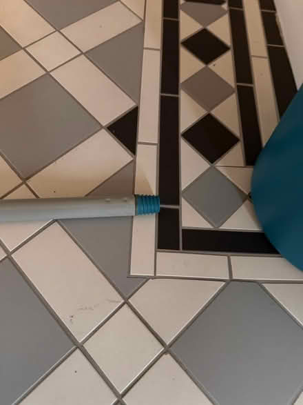 Photo of free mop bucket and pole (Holmer Green HP15) #2