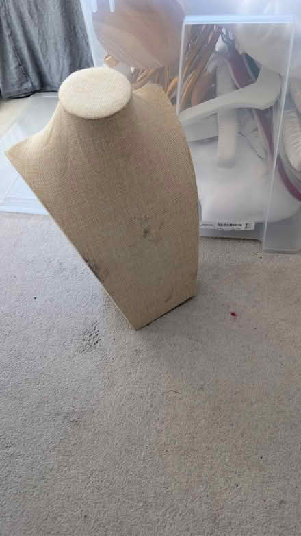 Photo of free Hangers and Jewellery Display (Dublin 6) #2