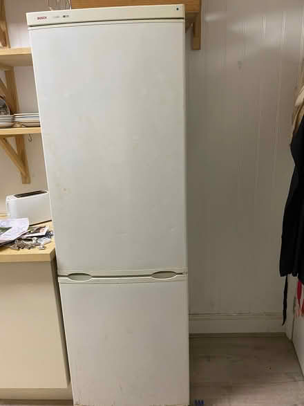 Photo of free Fridge freezer (St Leonards TN38) #1