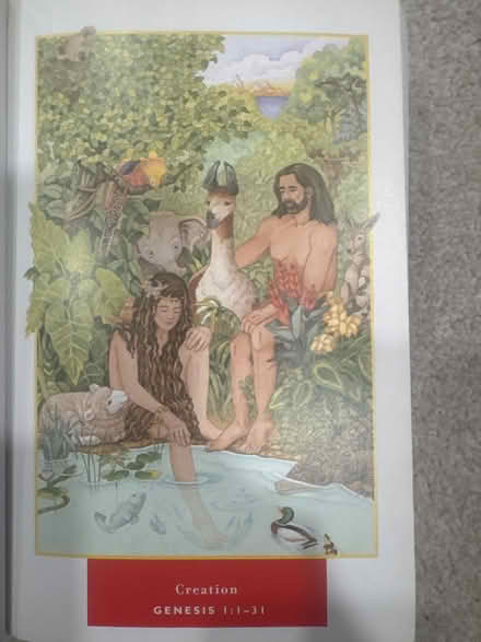 Photo of free Children’s Bible (Stuyvesant Heights) #3