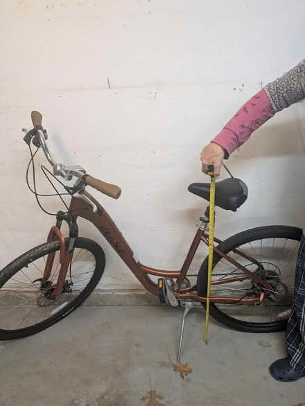 Photo of free Ladies 5 speed bike. Brown (Lexington. Near center.) #2