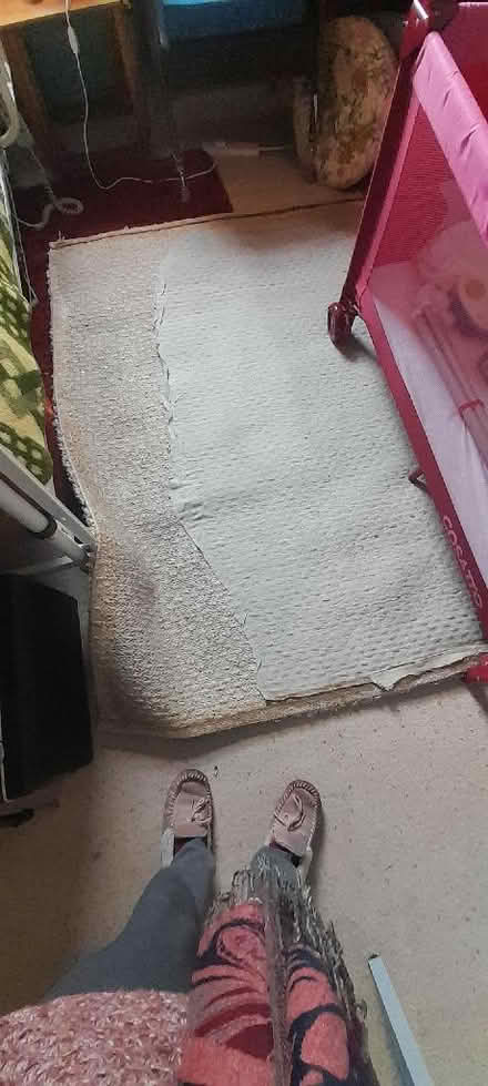 Photo of free Heavy cream rug (Kings Heath B14) #3