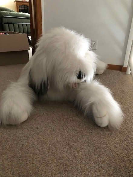 Photo of free Large stuffed dog (Minnetonka) #1