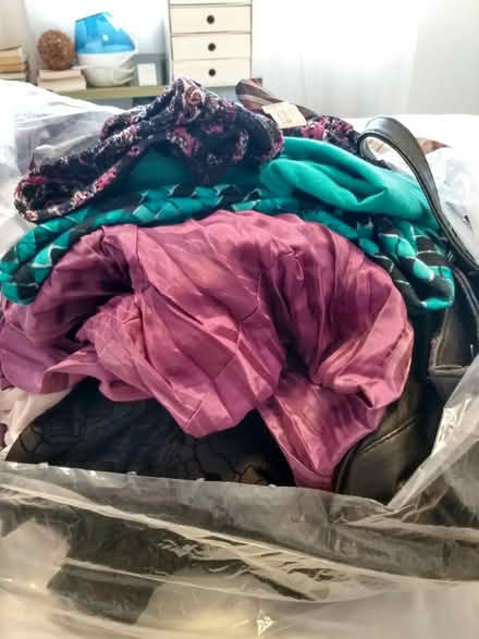 Photo of free Bag of women's clothing (South Keys) #1