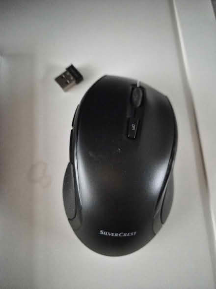 Photo of free Silver crest mouse (Bilton CV22) #1