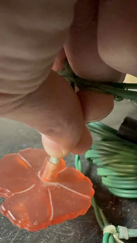 Photo of free Ikea light string (Mortimer & Coxwell) #2