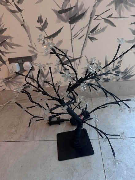 Photo of free Light ‘cherry blossom’ mains operated (Beaconsfield HP9) #2