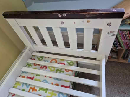 Photo of free Cot bed (up to 5years) (Norton Hammer S8) #4