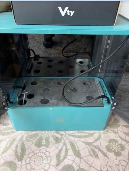 Photo of free Plannt Growing Herbs (TW7) #1