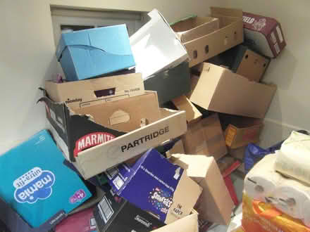 Photo of free cardboard boxes - small/medium size - open-top (Waverton CH3) #2
