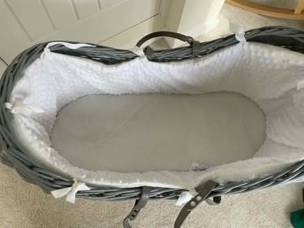Photo of free Claire De Lune Noah Pod (Spennymoor DL16) #2