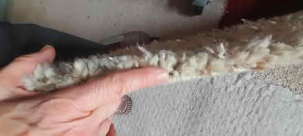 Photo of free Heavy cream rug (Kings Heath B14) #4