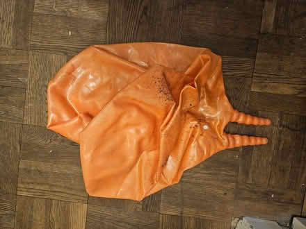 Photo of free Space hopper (Baldock) #2