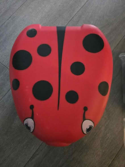 Photo of free Push chair rain cover & portable potty seat (West Wickham BR4) #2