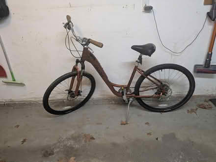 Photo of free Ladies 5 speed bike. Brown (Lexington. Near center.) #1