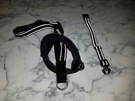 Photo of free Reflective Black Dog Muzzle (Nottingham NG8) #1