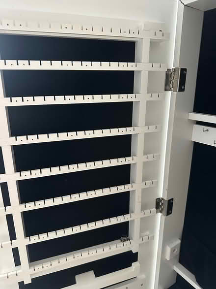 Photo of free Full-Length Mirror with Storage (SE8) #4