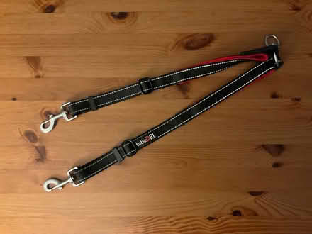 Photo of free Double dog leash (Alameda) #1