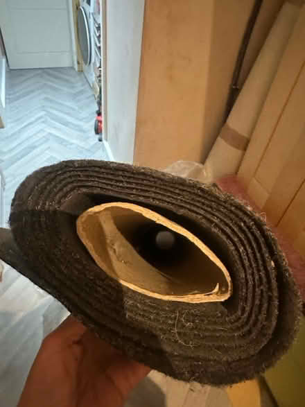 Photo of free Carpet new beige, dark grey (Se6 2ha) #1