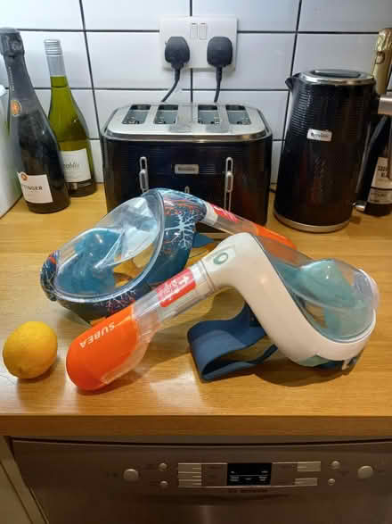 Photo of free Subea Snorkeling gear (Roundhill area brighton) #1