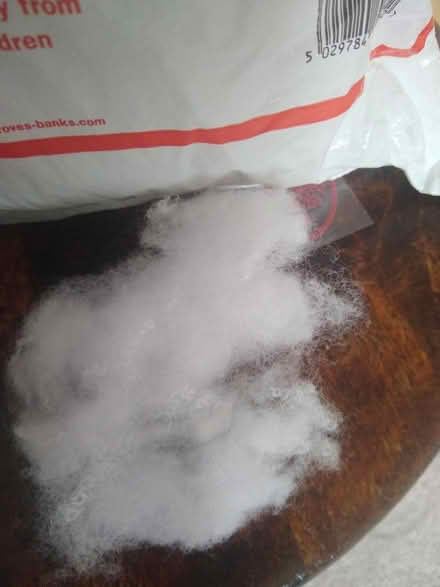 Photo of free Toy filling (Newtown RG1) #2