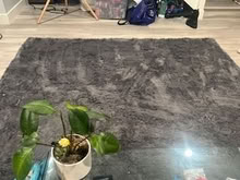 Photo of free 8x10 brand new rug (Homestead and Hollenbeck) #2