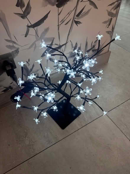 Photo of free Light ‘cherry blossom’ mains operated (Beaconsfield HP9) #3