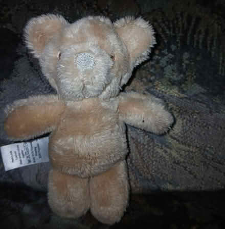Photo of free Teddy bear (Chattenden) #1