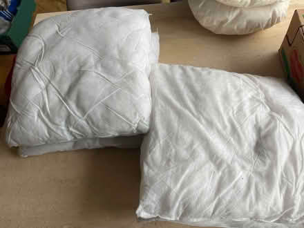 Photo of free Cushion inserts x4 (Heswall CH60) #1