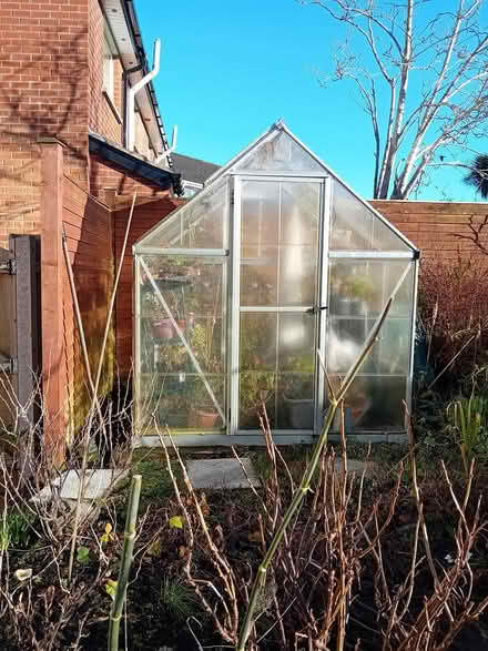 Photo of free 4' x6' greenhouse (South Belfast) #2