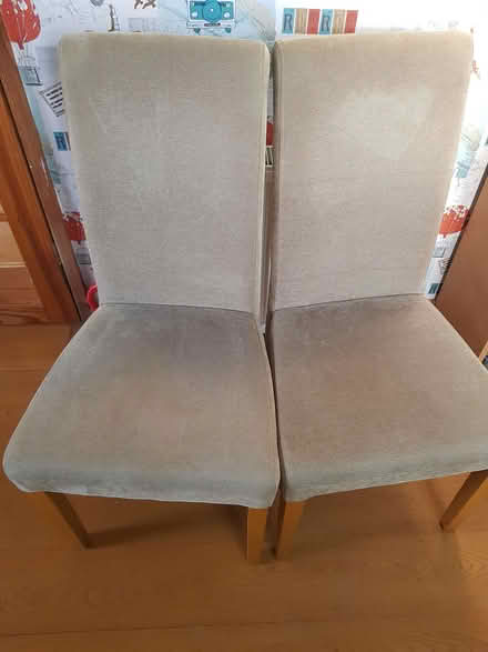 Photo of free Two dining chairs (Carleton FY6) #1