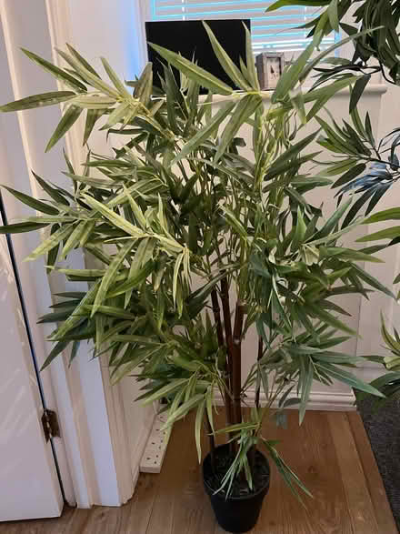 Photo of free Artificial plants (The Triangle Estate RH15) #2