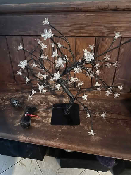 Photo of free Light ‘cherry blossom’ mains operated (Beaconsfield HP9) #1