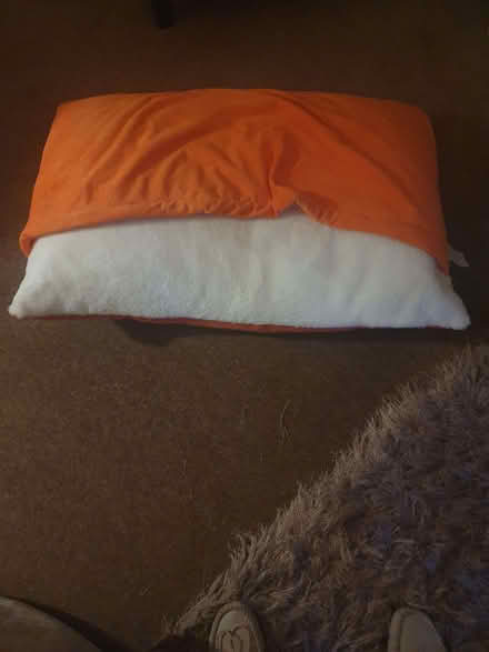 Photo of free Dog bed (Elstow MK42) #1