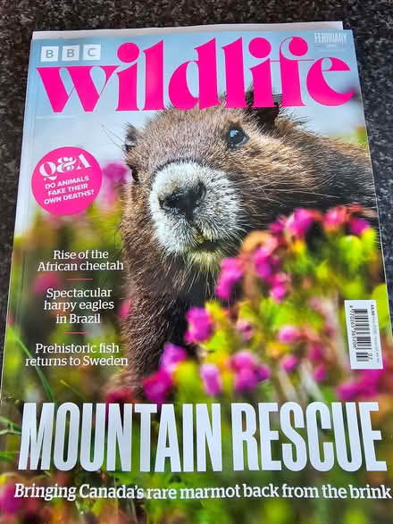 Photo of free Wildlife magazines (Wolfhill PH2) #1